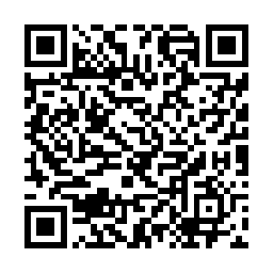 刚才绝代药王大人还一直为自己的聪明而暗自欣喜呢二维码生成