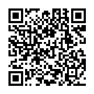 刚才背后强劲无匹的动力单元加上锐不可当的黄金羽翼二维码生成