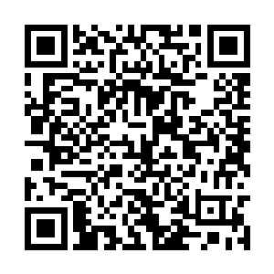刚才苏媚给你的小册子你是不是也要花时间看一看二维码生成