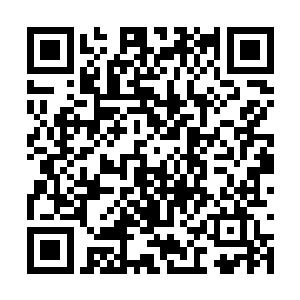 刚才蔓延而出的灵魂力已经被前方的剑气彻底搅碎二维码生成