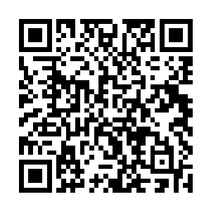 刚才薛如月在媒体面前公布她这些年一直都受到骚扰二维码生成