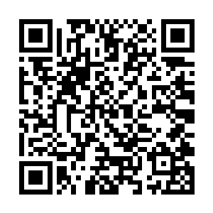 刚才虎头说的那番话就是穆扬灵教导他们时打的比喻二维码生成