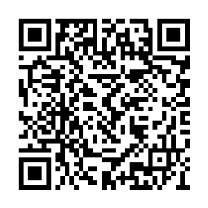 刚才被夏天打了的那名大家族子弟冷哼一声说道二维码生成