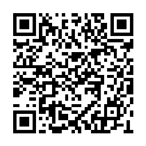 刚才被梓箐呛了一声的老师有些怨毒的盯着梓箐二维码生成