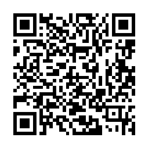 刚才被达成曾经最大心愿的欣喜冲的脑袋有些发昏二维码生成