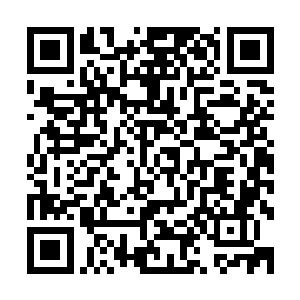 刚才试图出五个金币将苏落这只变异的青煞乌云兽拿走的那位二维码生成