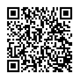 刚才过来的时候就看见这边有个装石灰粉的口袋了二维码生成