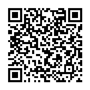 刚才还和林烽一本正经地说着出海经历的白须老鬼二维码生成