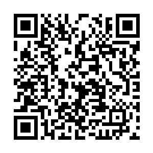 刚才还在撤泼的季飞宇的姐姐立刻呆滞地坐在地上二维码生成