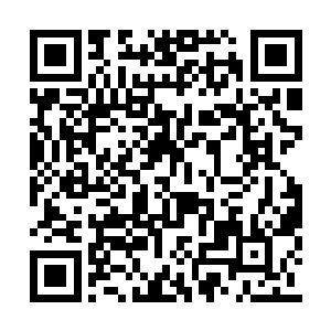 刚才这一声想必是什么招呼到柳无言的头上了吧二维码生成