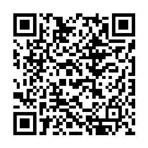 刚才那一拳将这可恶的脸砸个稀烂才是最好的选择二维码生成