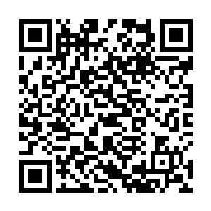 刚才那一瞬间他看到了那头紫色巨狼上坐着一位年轻人二维码生成