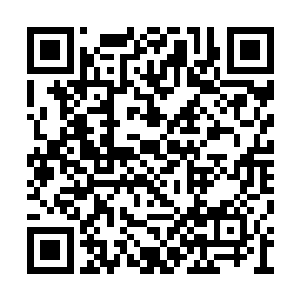 刚才那两个人按照这个世界来说不过是武道一层二维码生成