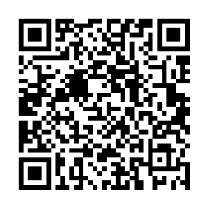 刚才那两只龙提到了之前南宫流云晋升洒落灵气雨的事二维码生成