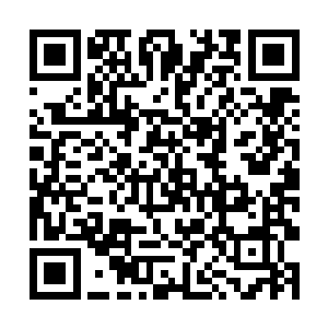 刚才那个一脸严斥萧易的医生呆呆的望着手里的电话二维码生成