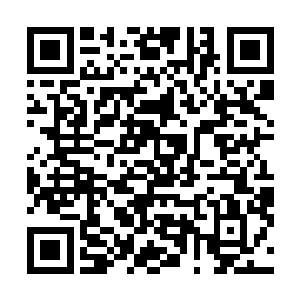 刚才那个少女许紫烟让他们看到了什么是战斗技巧和经验二维码生成