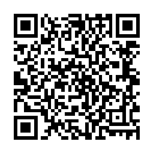 刚才那些对此事有疑虑的人也都认为是夏天的不对了二维码生成