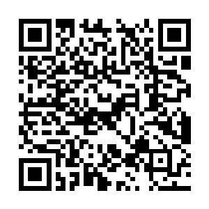 刚才那些小石头其中一个里面冒着很强的金色光芒二维码生成