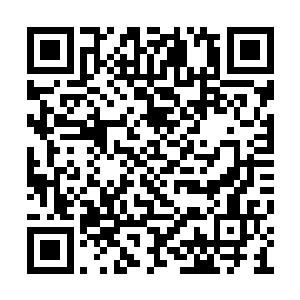 刚才那只金蝉蛊便是他从十岁开始就养的一只蛊二维码生成