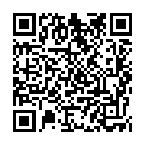 刚才那天地异象应该就是这里面传出来的动静吧二维码生成