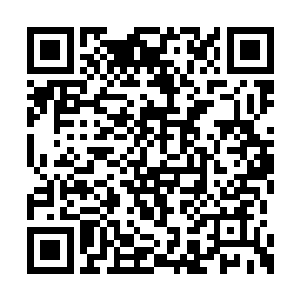 刚才那满脑子的碎片纷繁复杂现在突然归于平静二维码生成