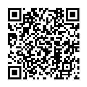 刚才那股强大的爆炸力瞬间将虫黄下面的夏天冲飞二维码生成