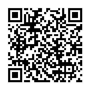 刚才郑家屠戮熬家的一幕幕都还在他们的脑中回荡二维码生成