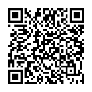 刚才金凤王向叶笑介绍的灵凰正是这位不世祖的直系后代二维码生成