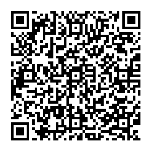 刚才雪师兄说的入内门弟子门下的所有筑基期弟子都要参加那怎么还有外围外门弟子的名额啊二维码生成