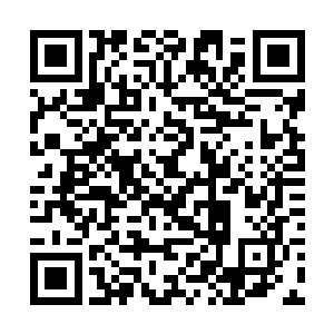 刚才韩佳翔也听到了许紫烟想要夺得新人王的那句话二维码生成