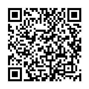 刚才骂我的那个长头发的男生还用手指去勾林可儿的下巴二维码生成