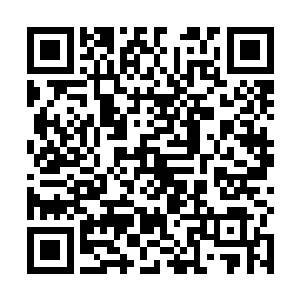 刚才高市长和徐市长讲了山南省经济发展的方向和不足二维码生成
