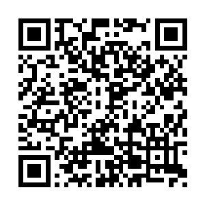 刚才龙傲天的确已经大殿的四周已经观察了一遍二维码生成