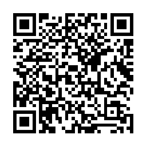 刚把脸上手上那些人皮面具和胡子以及蓝色的隐形眼镜戴好二维码生成