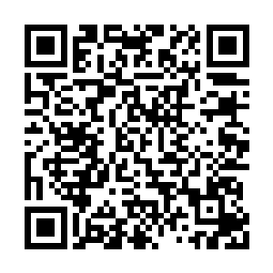 刚来部落的时候他也完全不适应龙战的一些做法二维码生成