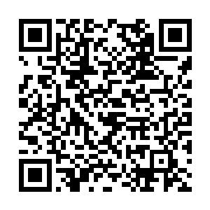 刚被千千仙子那个有实力竞争前十的恐怖天才威胁二维码生成