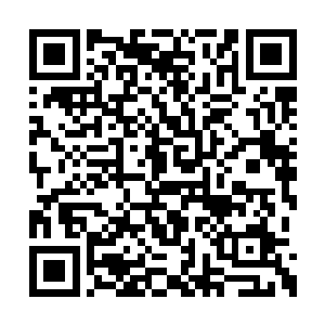 刚要闭上眼睛睡觉就察觉到插在一旁的鱼竿在动二维码生成