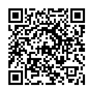 刚说话的那人嘻嘻笑着走到门口对着门口大声叫了两声二维码生成