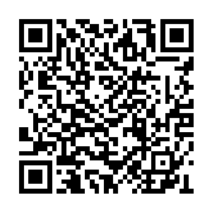 刚踏入山林的夭华就敏锐地察觉到了一丝不对劲二维码生成