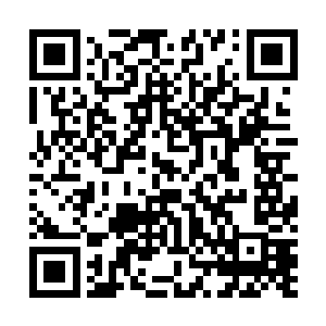 刚踏进院子就看到对面一道纤细的身影朝着自己飞扑过来二维码生成