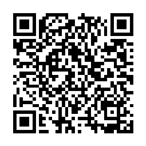 刚进入剑之大殿就发现整个宗门所有阵法再次开启二维码生成