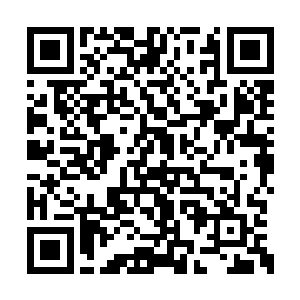 刚钓上来两条贝海听到了船上卫星电话响了起来二维码生成