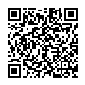 创建了零城这么一个世外桃源……这是一个伟大的开创性的成就二维码生成