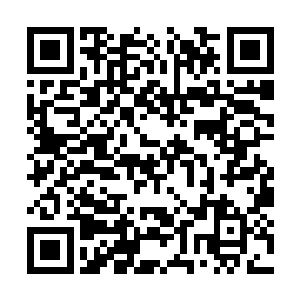 创造出只有高等圣域强者才能自动分出的意念分身二维码生成