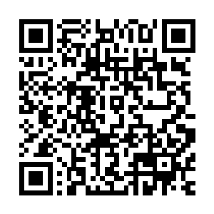 初始护心鳞几乎覆盖全身……只有尾巴和肚皮……没有覆盖住二维码生成