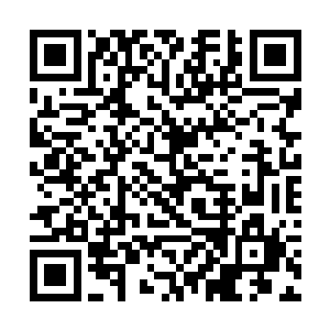 初期大主宰有可能对上凝聚了五个道心的巅峰大主宰二维码生成