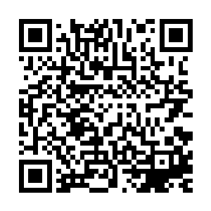 初期拍卖的东西很难引起像洪家和龚家这样超级家族的注意力二维码生成