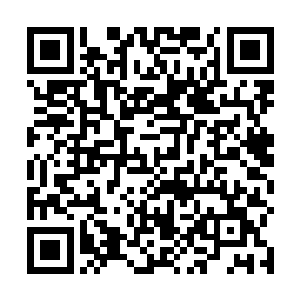 初期游尸的他面对筑基初期的修士优势依然不是太明显二维码生成