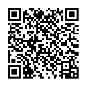 初期的实力却将后期的海澜门少宗主逼成这幅模样二维码生成