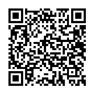 初步完善的基因应该也可以给他一个不错的惊喜二维码生成